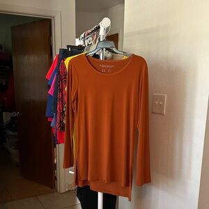 Susan Graver Terracotta/Rust Long Sleeve Tunic Top